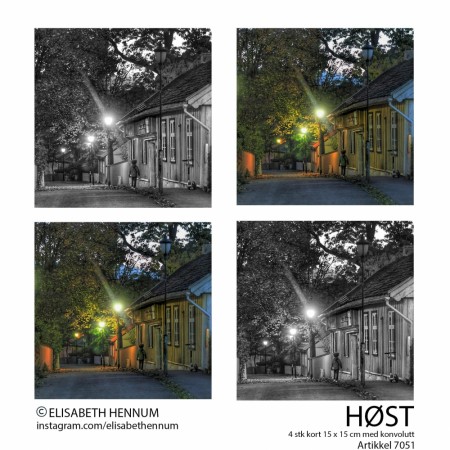 4 doble postkort (15 x 15 cm) m/konvolutt - Høst