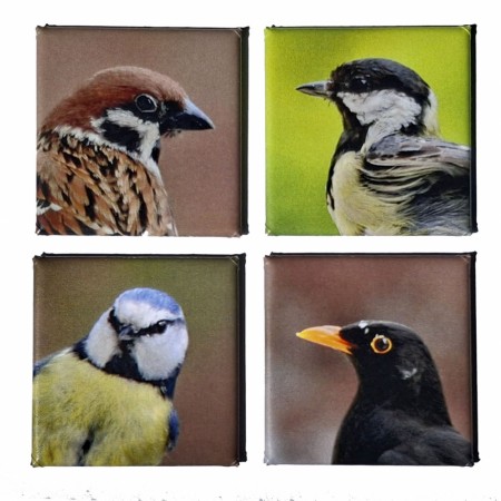 Fire småfugler... - 40 x 40 mm kjøleskapsmagnet