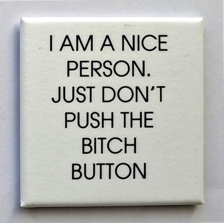 I am a nice person... - 50 x 50 mm kjøleskapsmagnet